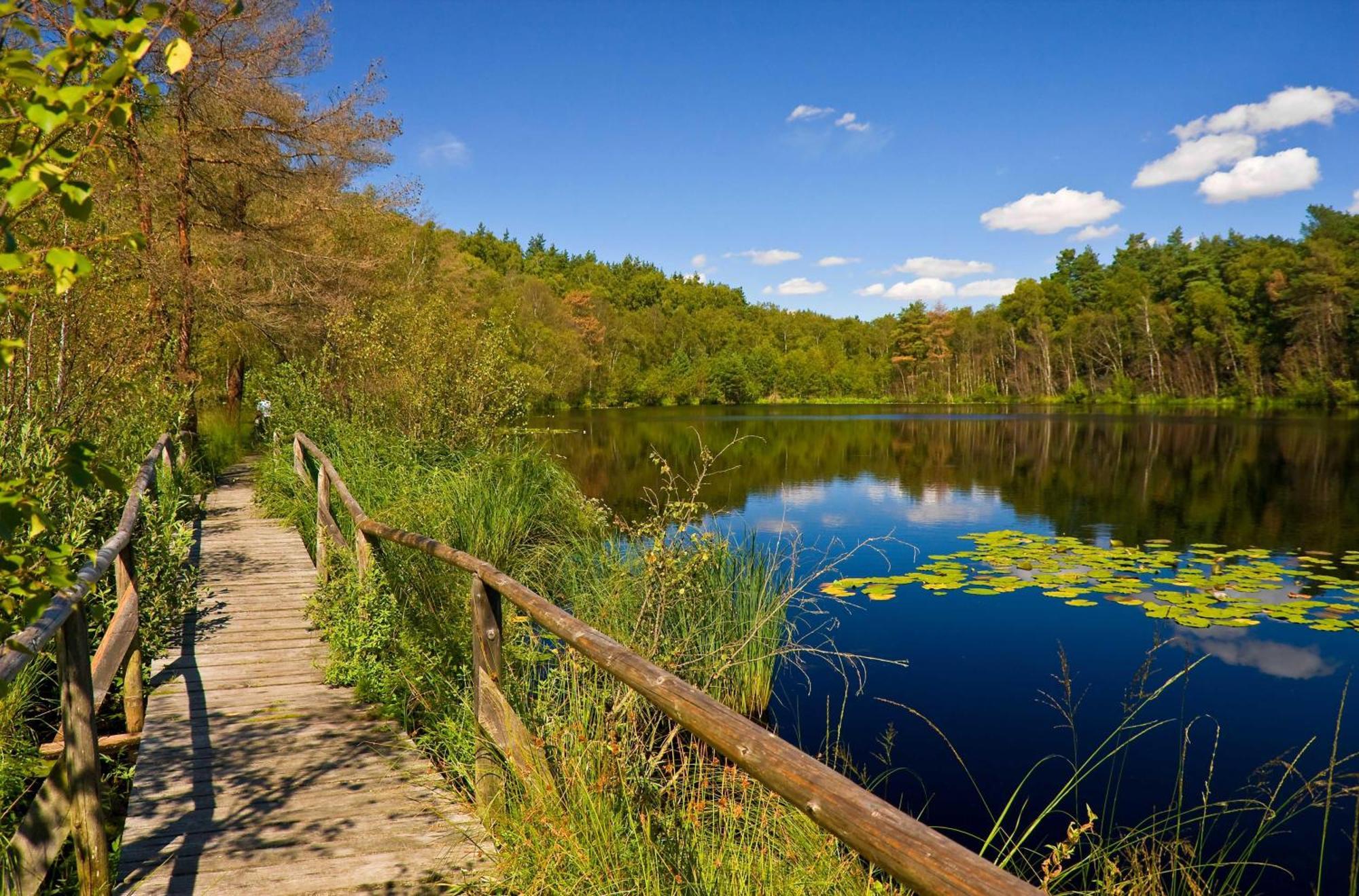 Havelquelle Mit Sauna Und Garten Kratzeburg Esterno foto